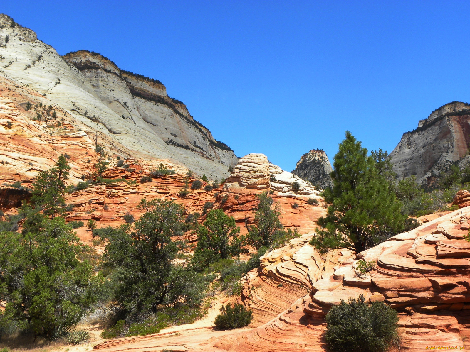 zion, national, park, , , 
